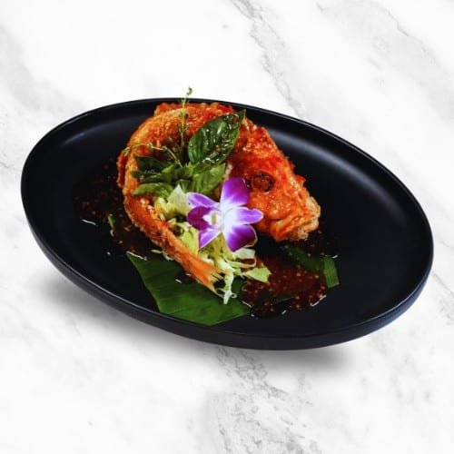 Golden Red Snapper.
